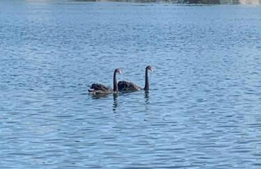 Apartment, Stylish 2 bed Riverside House, 2 Kingsize beds, Free Parking - Foto 11