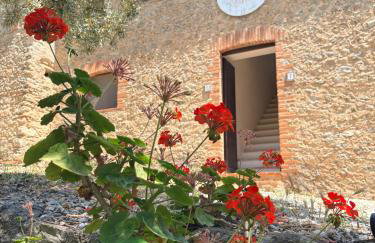 Azienda Agrituristica Le Puzelle - Foto 46