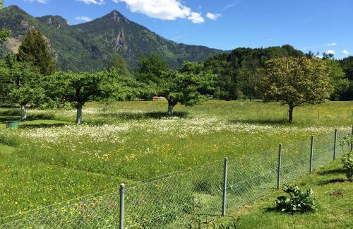 5-Sterne Active Ferienwohnung Chiemgau - Foto 12