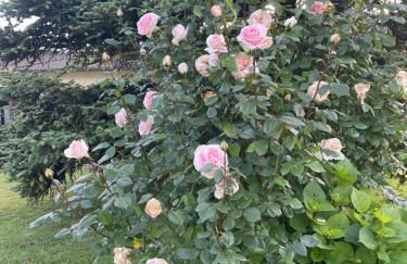 Paradiso sul lago - Foto 42