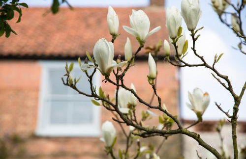 The Old Stables - Foto 17