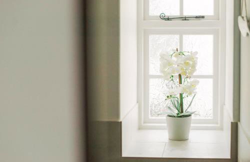 Number Six - Ukc4968 - Foto 18