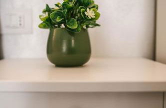 Tra Lago Maggiore e lago d'Orta Appartamento ACQUA - Foto 35