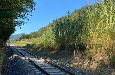 TOT'I Dè BARACA - Photo 16