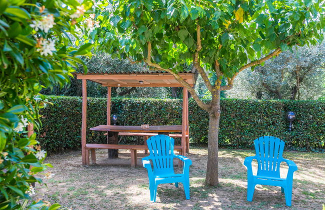 L'Uccelliera - Foto 40