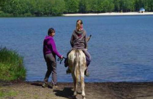 Glamping Tent in the Ardennes - Foto 19