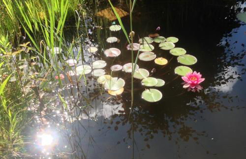 Ferienwohnung Zimmermann - Foto 38