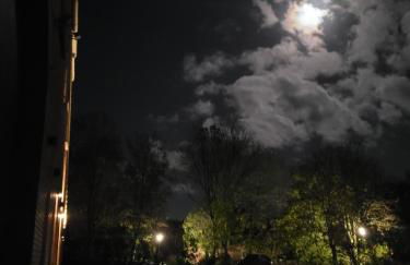 Gulfhof Anelis - Foto 30