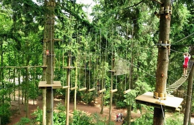 Holiday Home in Netherlands With Private Pool - Photo 44