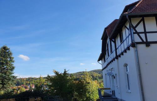 Apartments Villa-Ratskopf Wernigerode - Photo 83