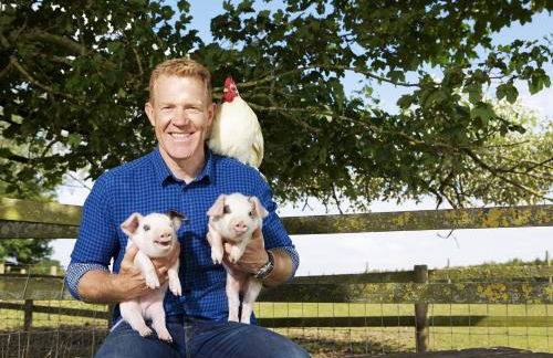 Cats Abbey Cottage - Photo 33