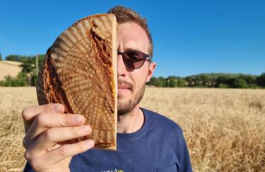 Agriturismo Essentia dimora rurale - Foto 19