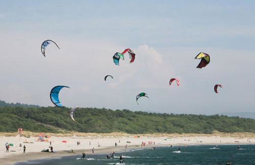 Casa D' Joao Enes - Afife Residence - Foto 5