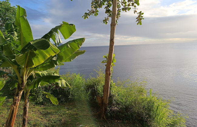 CLEMARA EVASION - Photo 51