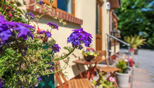 Covert Farm Cwtch - Foto 3