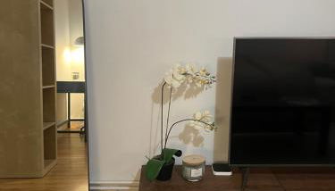 Magnifique & Cozy appartement au cœur de Strasbourg avec terrasse - Foto 2