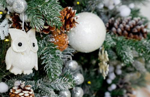 Cosy Garden Accommodation, Private Hot Tub & Four Poster Bed - Photo 14