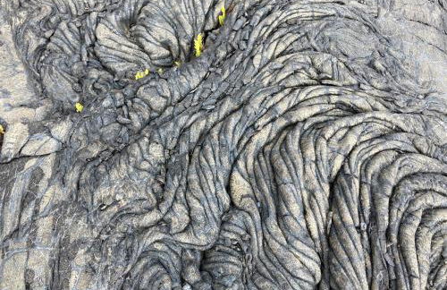 Comfort Nest - Foto 48