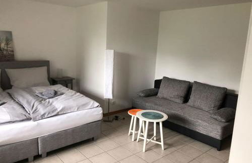 Wein Lodge Durbach - Schlossblick - Foto 26