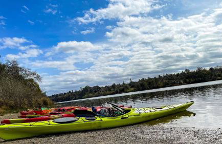 Folsom Old Town Escape • Cozy Cottage + Library - Foto 7