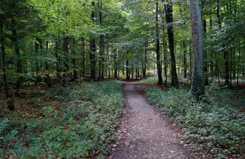 Ferienwohnung Am Sundern - Foto 18