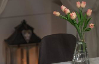 Apartman Teta Jadre - Foto 19