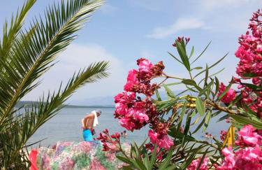 Karin Apartmani Hani - Photo 30