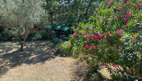 La Magistrale - Photo 2, Garden view