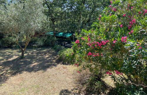 La Magistrale - Foto 2