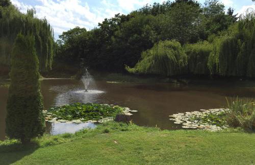 Everglades - Foto 57