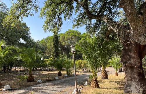 Villa Amigo, Casa Rural espectacular en Sierra de Aracena - Foto 6