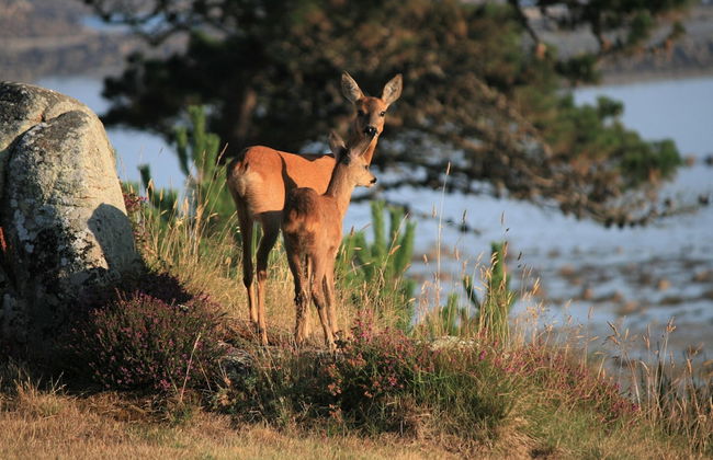 Large House Near Beach for 12 - Foto 31