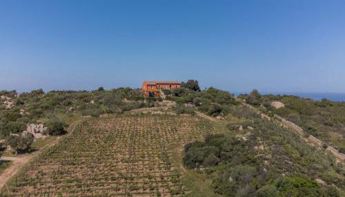 Holiday Home Rita by Interhome - Foto 4