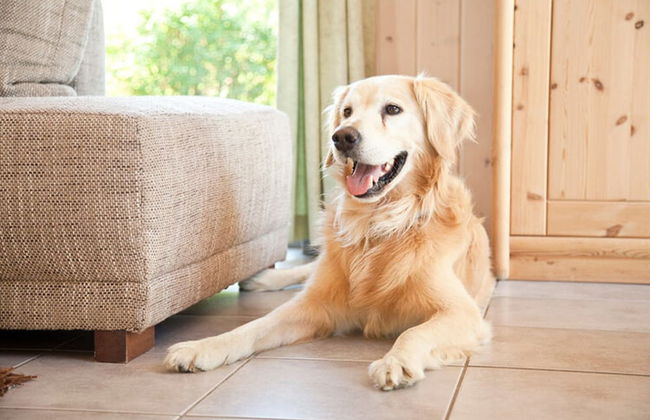 Cottage in Granzow at 500 m From the Lake - Foto 10