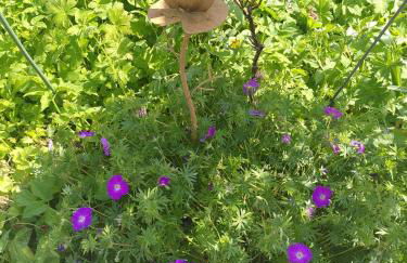 Ferienhaus Am Fehntjer Tief - Foto 26