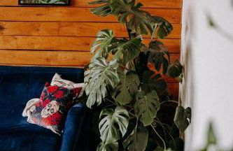 Apartament Madlen Art - Foto 18