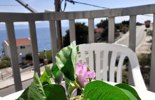 Sobe Stanković - Foto 17