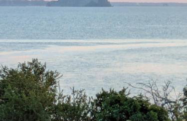 La Jeannette - Photo 20