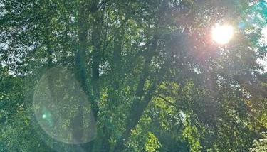 Quiet Luxury in the Heart of the Hamptons - Foto 4