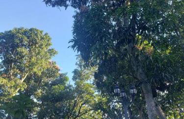 Insta Worthy Modern Bungalow - Foto 7