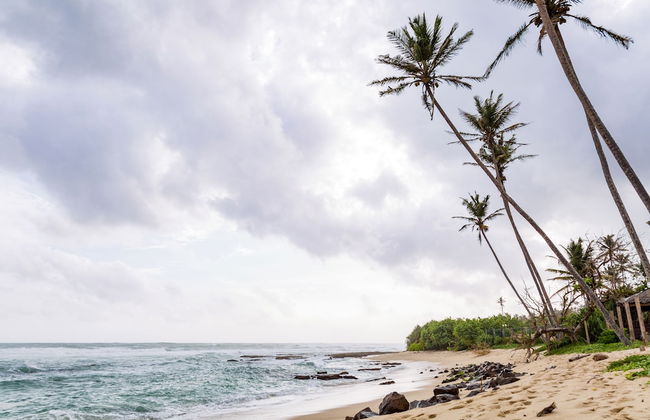 Mirissa Beach Villa - Photo 48