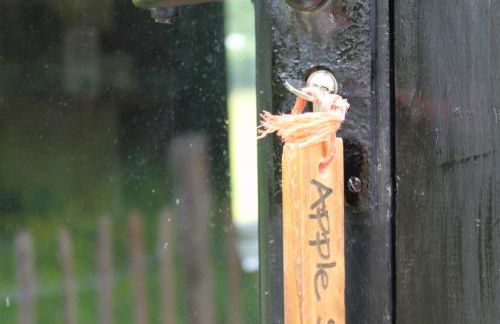 The Old Apple Shed cosy heated cottage in a meadow close to the charming village of Bethersden - Foto 32