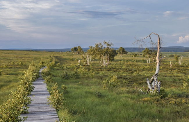 Spacious Stay With Terrace - Foto 57