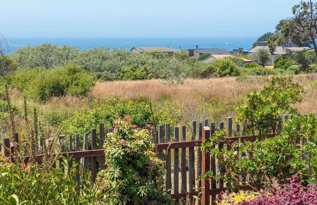 Sea Pebble Sea Ranch Retreat! - Foto 14