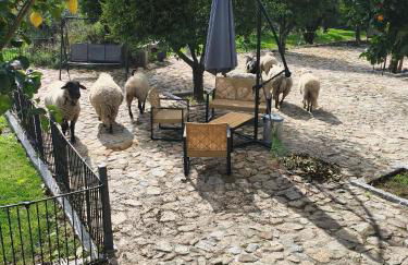 Tapada das Carvalhas - Photo 7