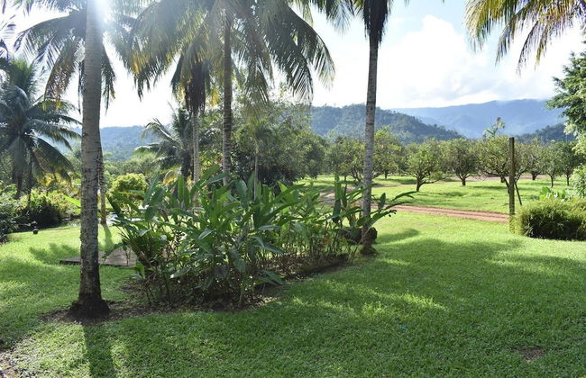 Orchard House - Photo 12