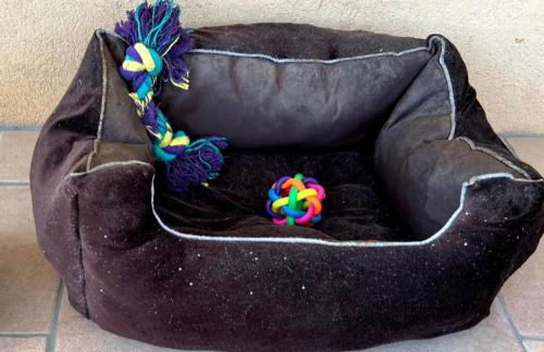 Le loft des mimosas proche de cannes - Foto 46