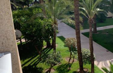 Encantador Apartamento Torrevieja Playa - Foto 3