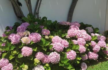 Luxury 3 bedroom Villa with Private Pool - Photo 14