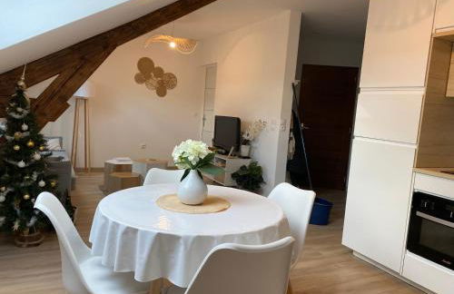 Chez Gustave charmant T2, 4 min place Ducale - Foto 4